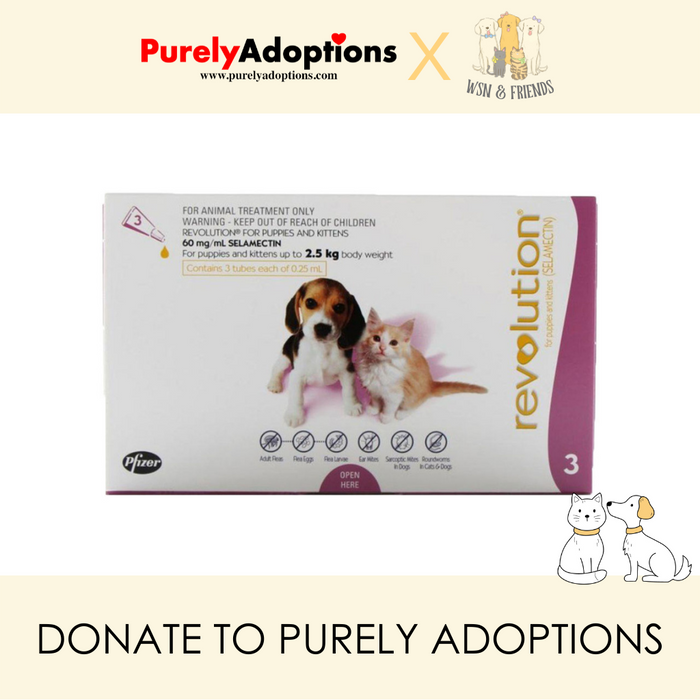 [DONATE] Revolution Flea and Ticks for Kitten & Puppy (<2.5kg/Mauva)