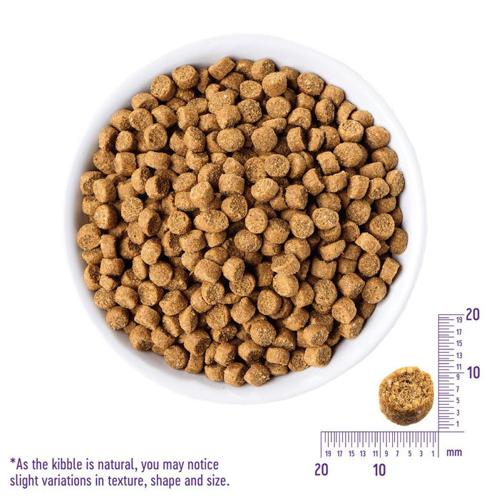Wellness Complete Health Just For Puppy Dry Dog Food