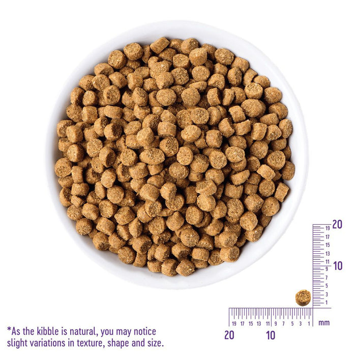 Wellness Complete Health Small Breed Just For Puppy Dry Dog Food 4lbs (1.8kg)