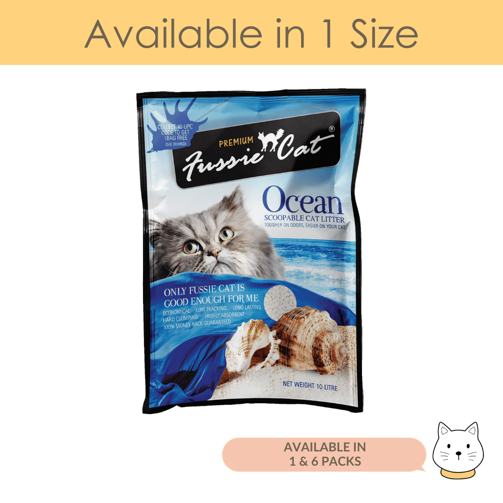 Cat litter on 2024 sale near me