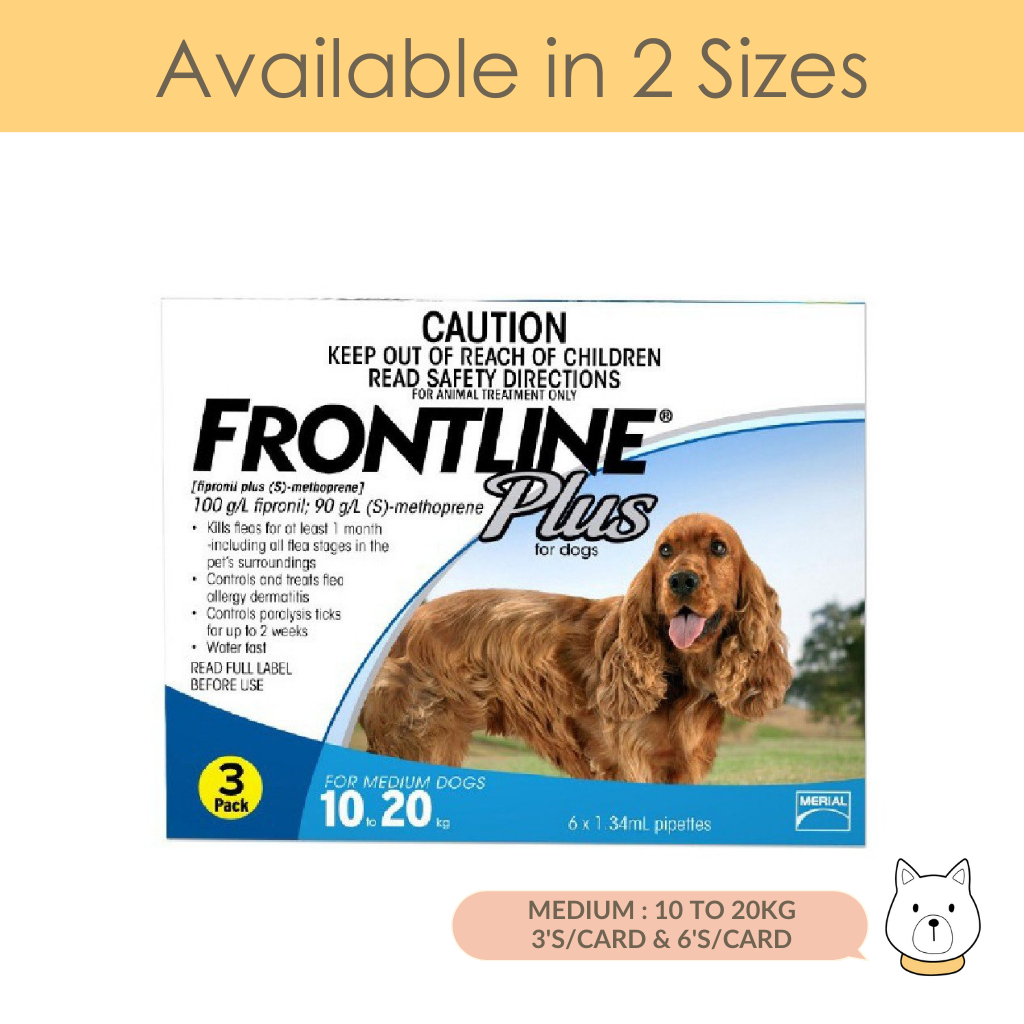 Frontline plus shop medium