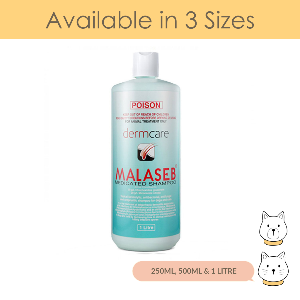 Dermcare Malaseb Medicated Shampoo — WSN & Friends Lifestyle