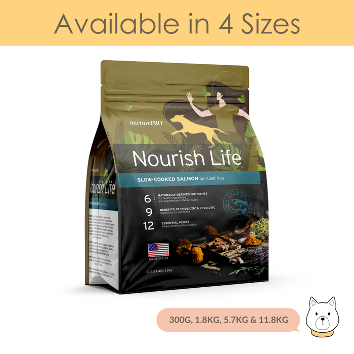 Nurture Pro Nourish Life Slow-Cooked Salmon Dry Dog Food for Adult Dog