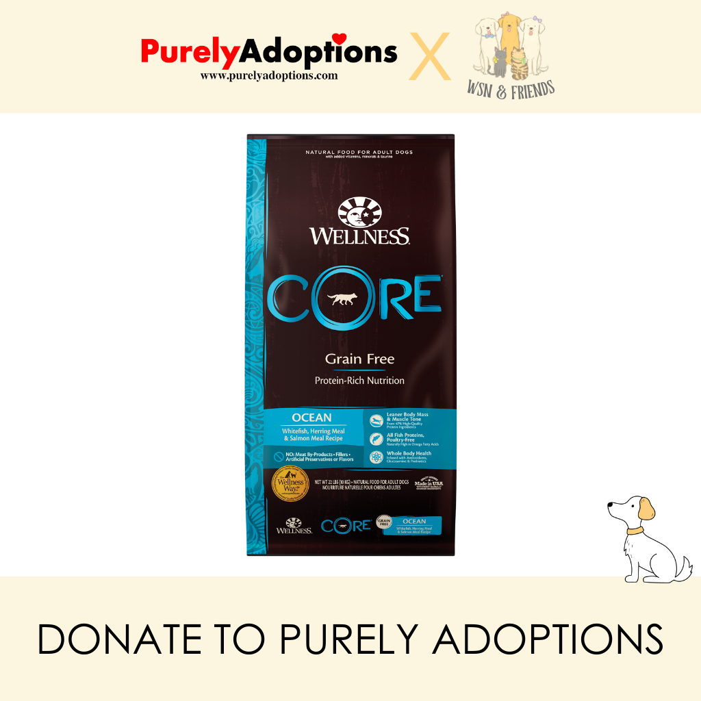 DONATE] Wellness Core Grain Free Ocean Dry Dog Food (3 Sizes