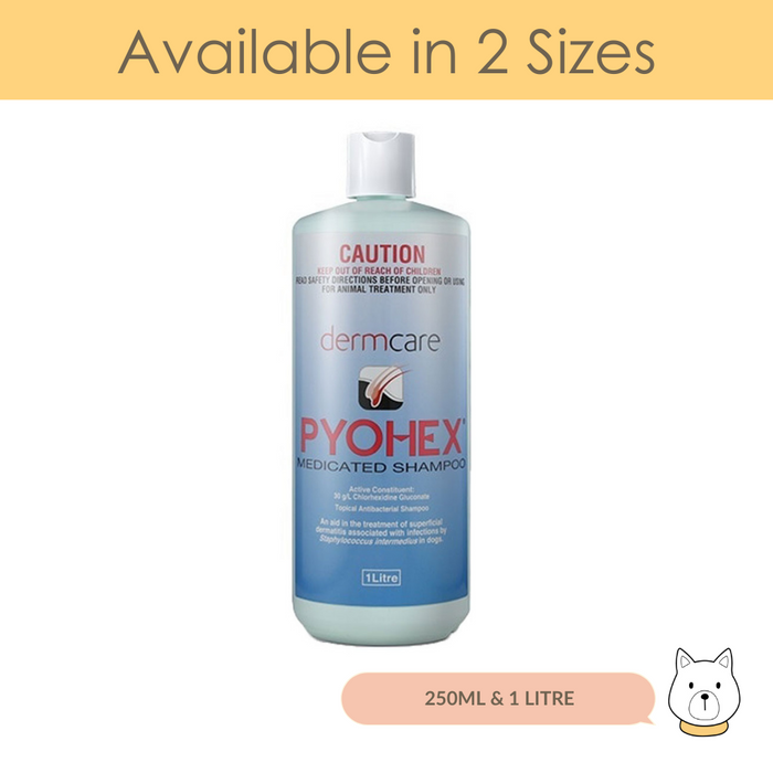Dermcare Pyohex Medicated Shampoo for Dogs