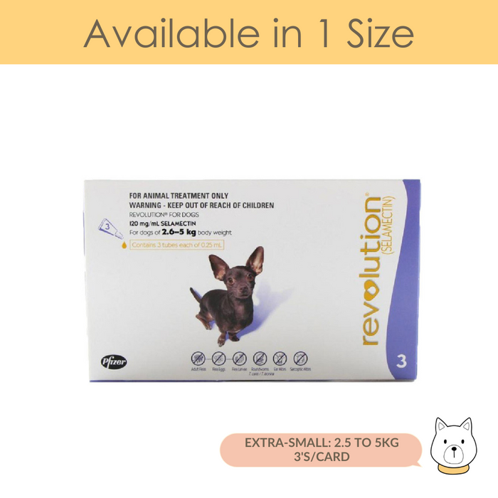 Revolution Flea and Ticks for Extra-Small Dog (2.5–5kg/Purple)