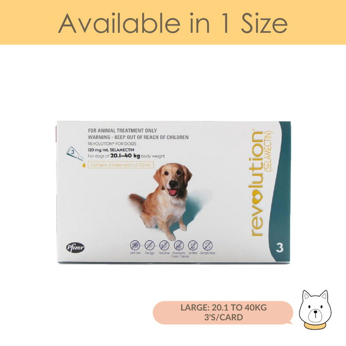 Revolution Flea and Ticks for Large Dog (20.1–40kg/Teal)