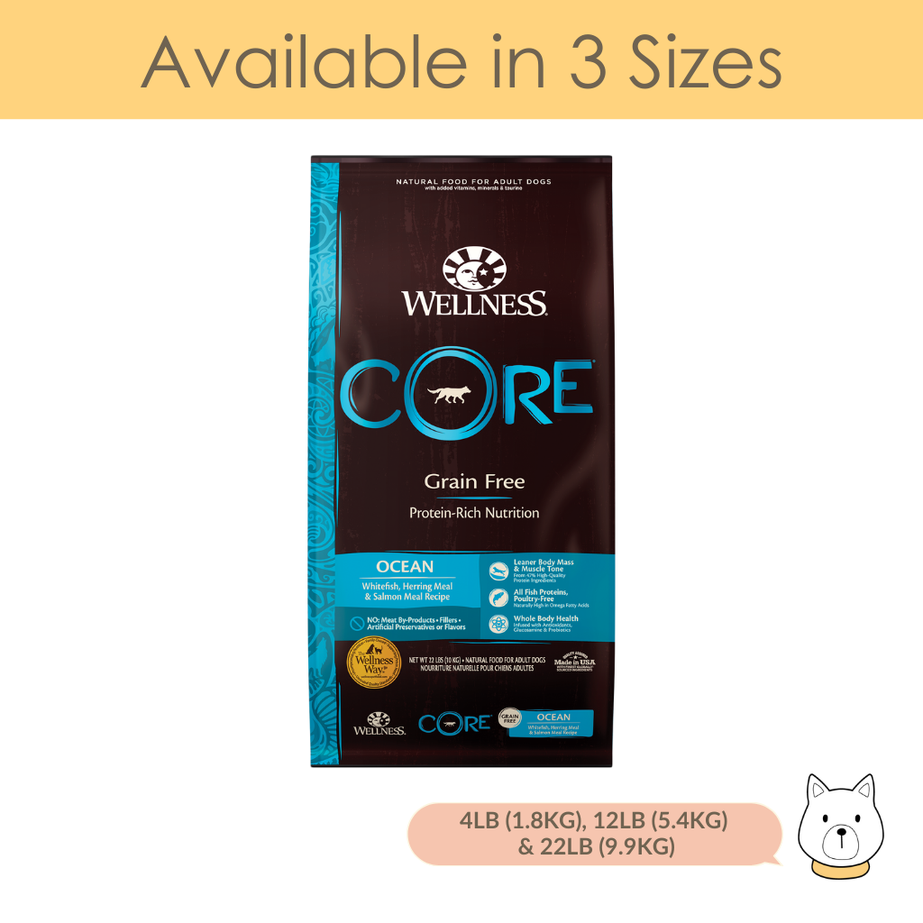 Grain free outlet wellness dog food