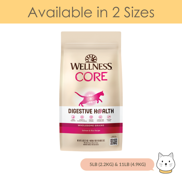 Wellness Core Digestive Health Salmon & Rice Dry Cat Food