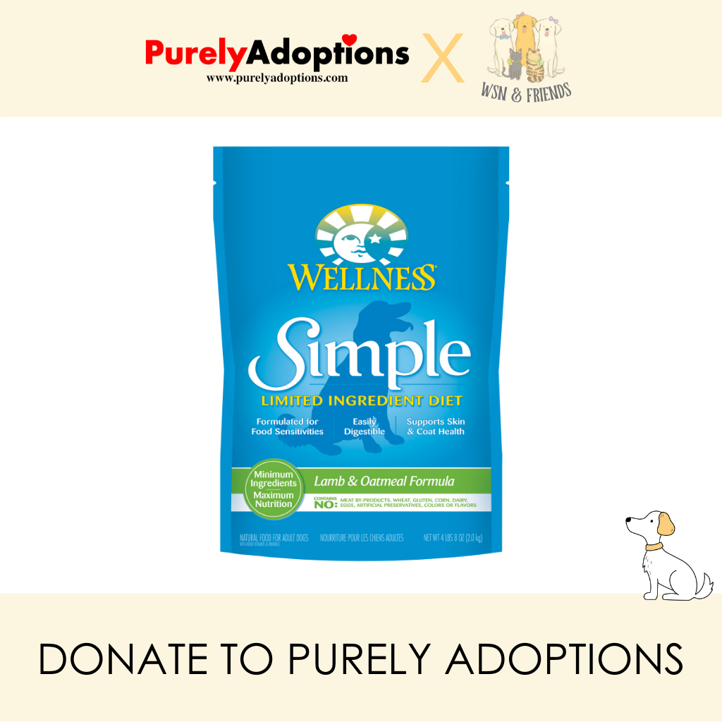 Wellness simple hotsell lamb and oatmeal