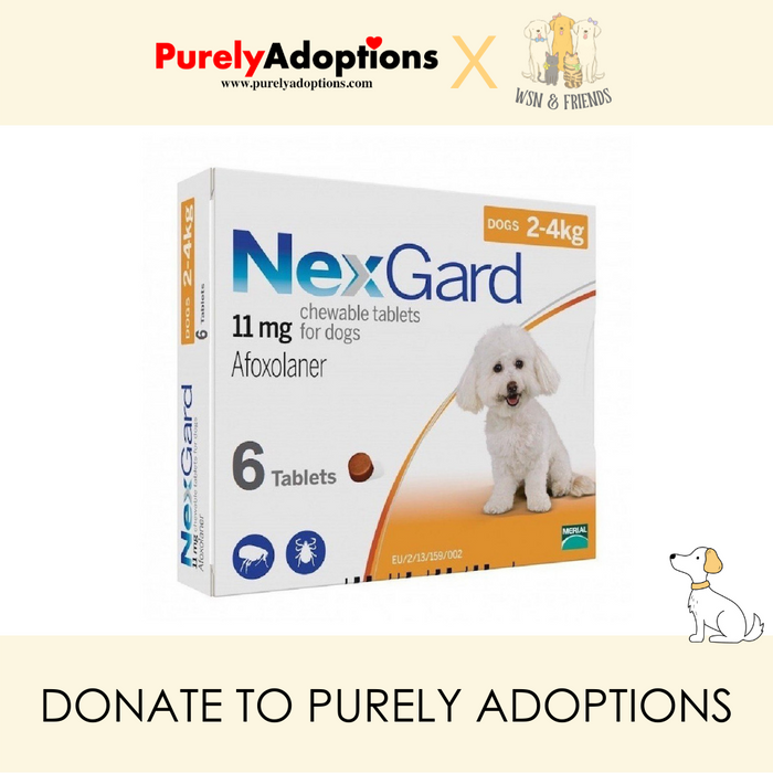 [DONATE] NexGard Flea & Ticks Chews (Orange) for Small Dogs (2-4kg)(2 sizes)