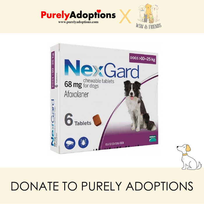 [DONATE] NexGard Flea & Ticks Chews (Purple) for Large Dogs (10-25kg)(2 sizes)